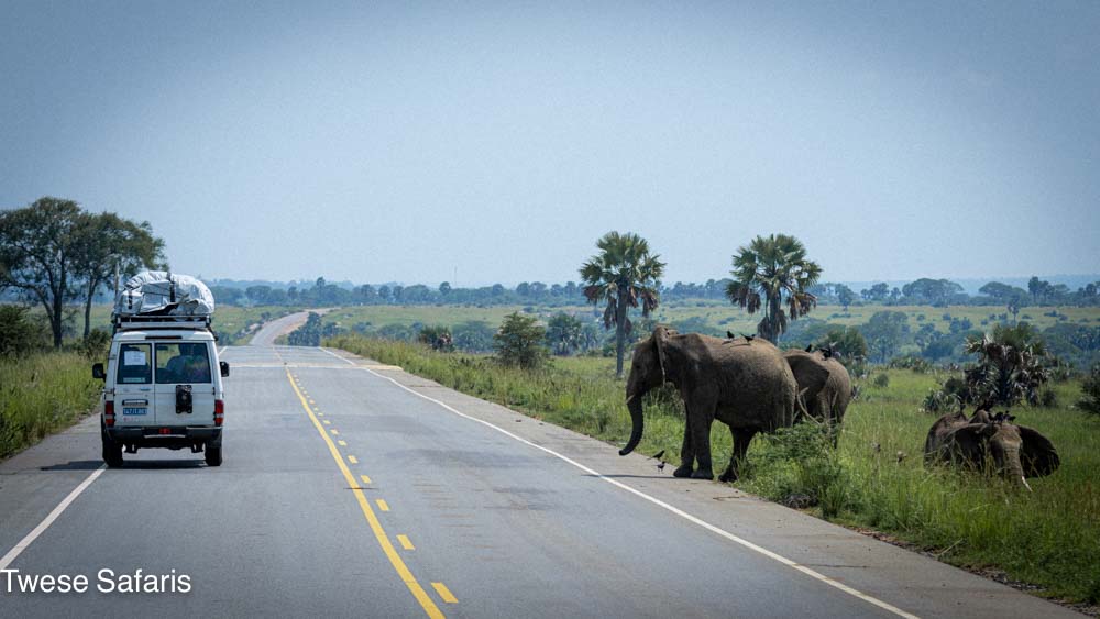 Beautiful Infrastructure In The Parks